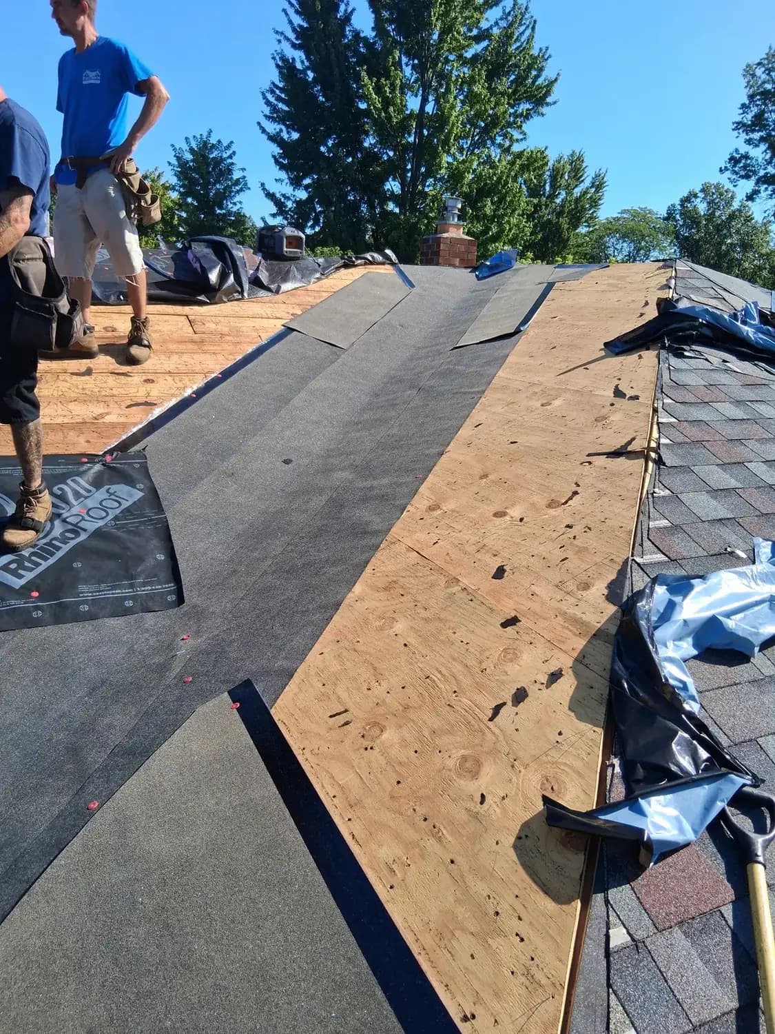 Medwick crew mid tear-off, bare decking exposed and synthetic underlayment already going down
